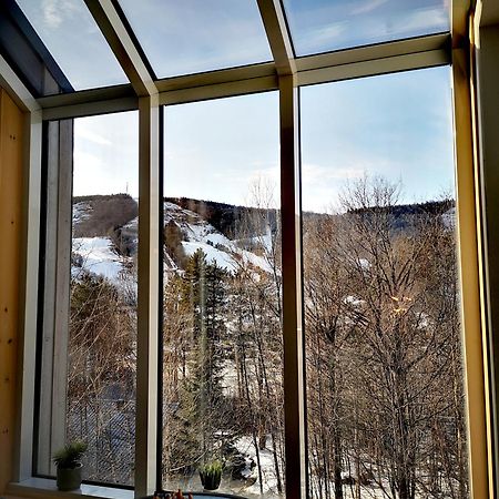 Condo Sur 2 Niveaux Avec Magnifique Vue Sur La Montagne Stoneham Zewnętrze zdjęcie